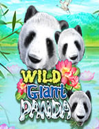 รีวิว slotxo ฟรี 50 เล่นง่าย แจกจริง ทำเงินได้ไม่ยาก